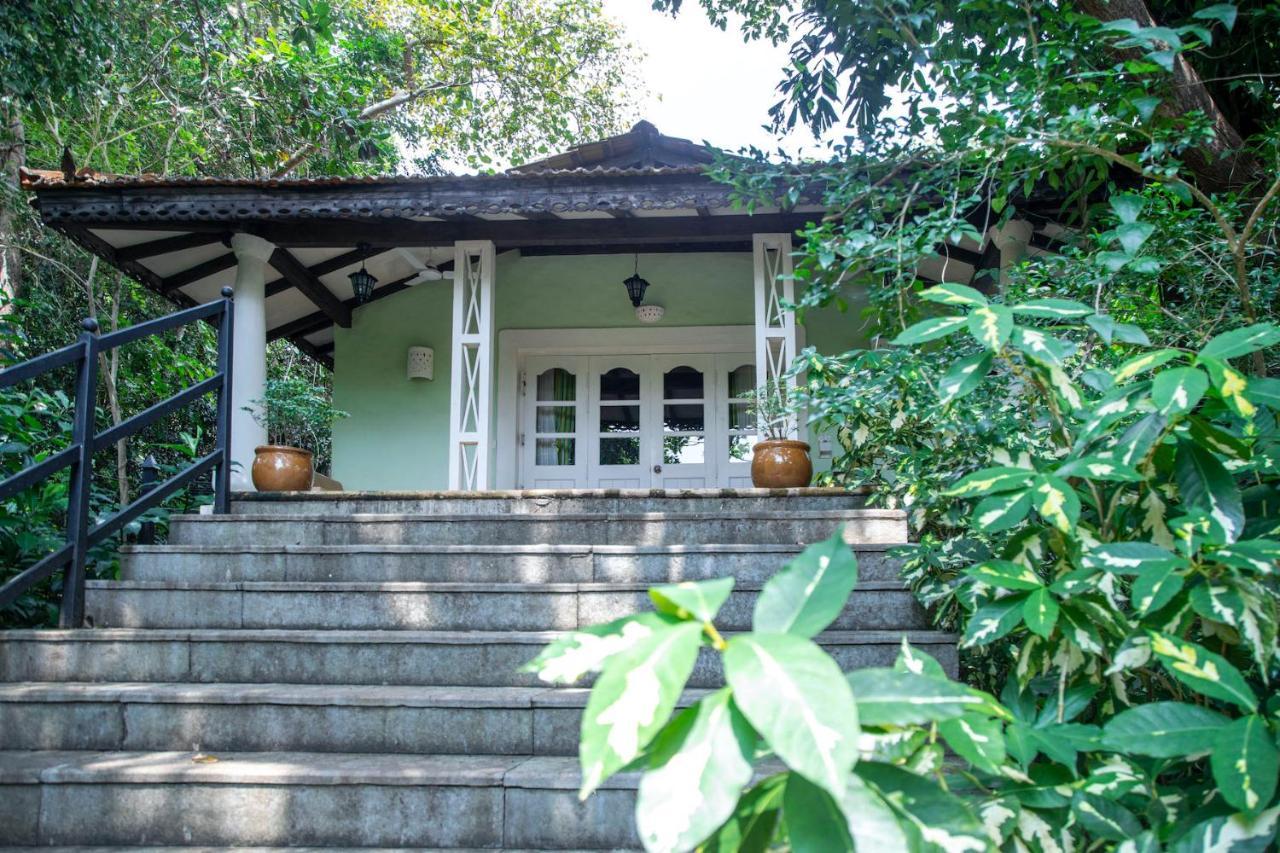Wildflower Villas - All Villa Hotel, Family Run Candolim Extérieur photo