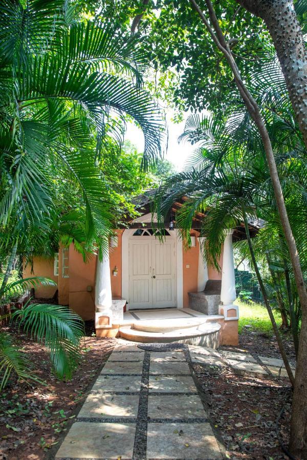 Wildflower Villas - All Villa Hotel, Family Run Candolim Extérieur photo