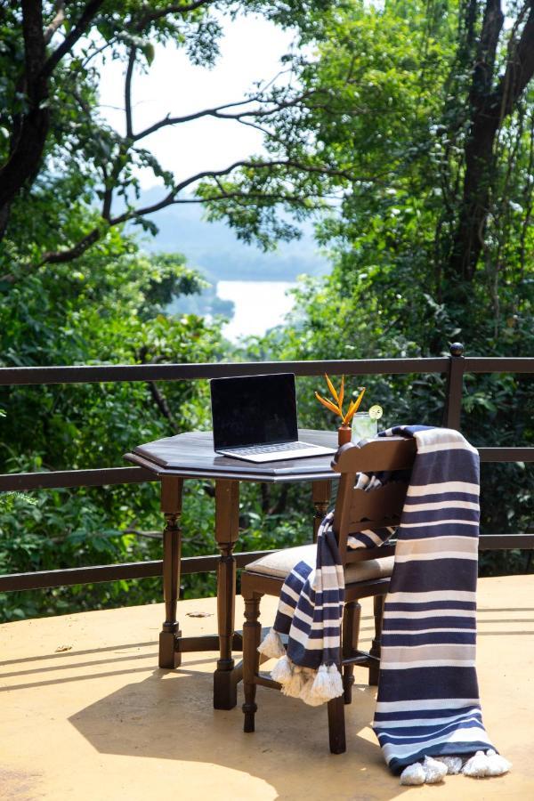Wildflower Villas - All Villa Hotel, Family Run Candolim Extérieur photo
