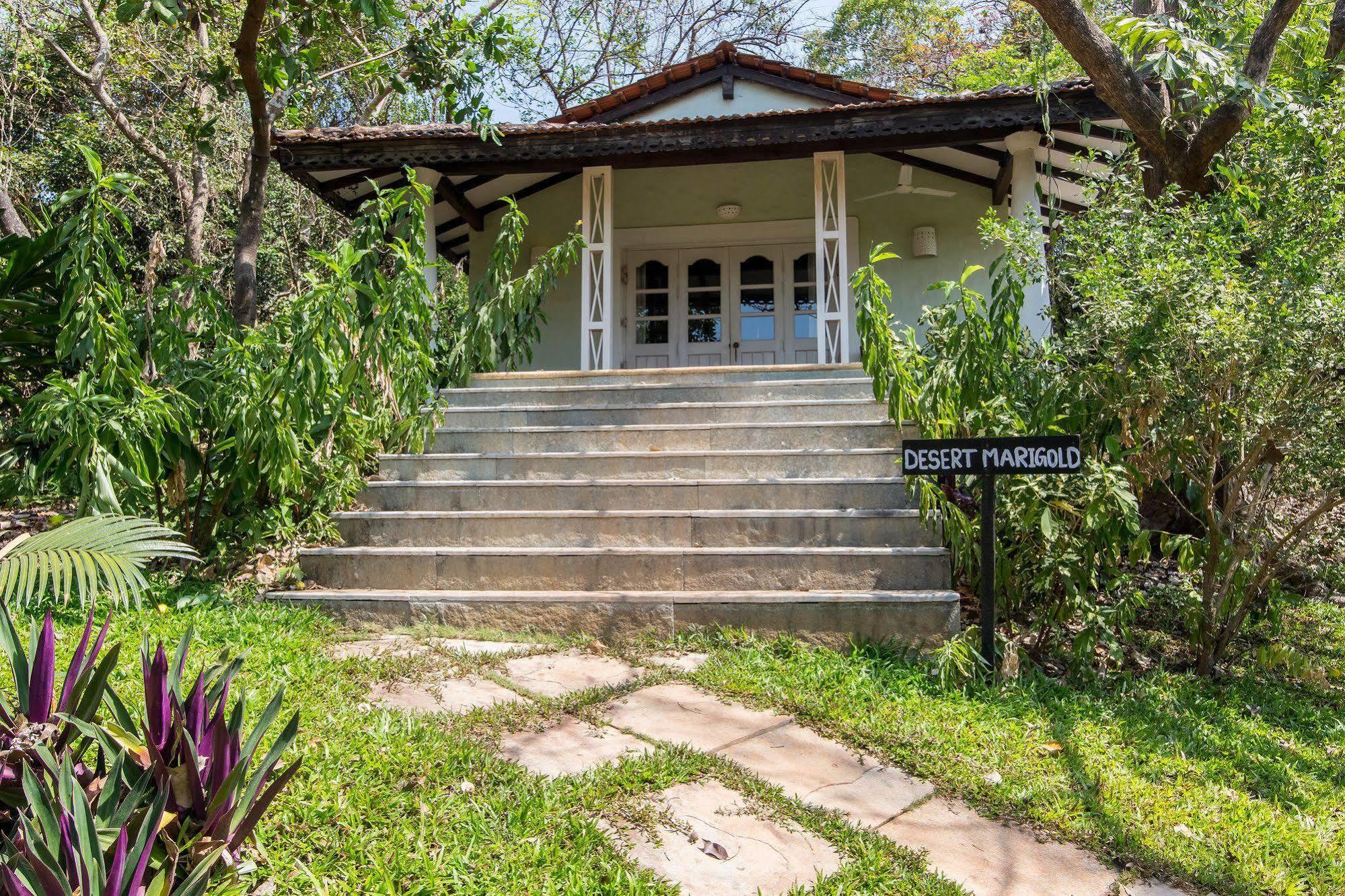 Wildflower Villas - All Villa Hotel, Family Run Candolim Extérieur photo